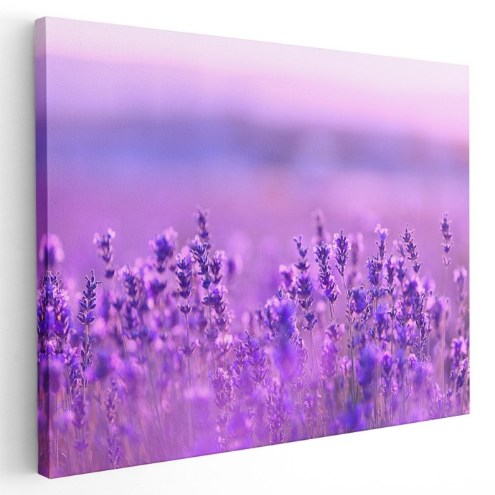 Tablou peisaj camp flori lavanda mov roz 1592 Tablou canvas pe panza CU RAMA 60x90 cm