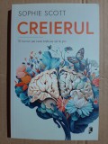 Sophie Scott - Creierul. 10 lucruri pe care trebuie sa le stii (2024, stare buna) - neurostiinte cognitive, retele neuronale