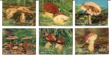 Bhutan 1973 - Ciuperci, serie timbre 3D neuzate