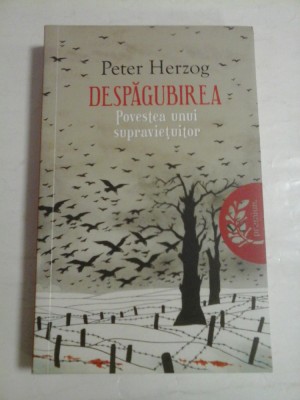 DESPAGUBIREA - PETER HERZOG foto