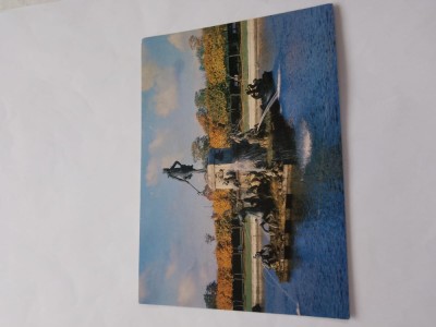 Carte postala petrovortes foto