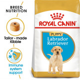 ROYAL CANIN LABRADOR RETRIEVER JUNIOR - 3kg