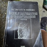 Bazele matematicii signadforasice - Octavian N. Voinoiu