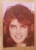 QW28 - Artisti straini 120 - Brooke Shields, Necirculata, Fotografie