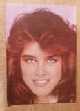 AS 520 - ARTISTI - ACTORI STRAINI - IMAGINE BROOKE SHIELDS, Necirculata, Fotografie