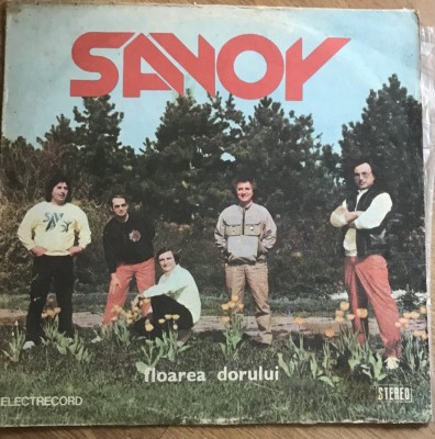 Vinil(5) Savoy foto