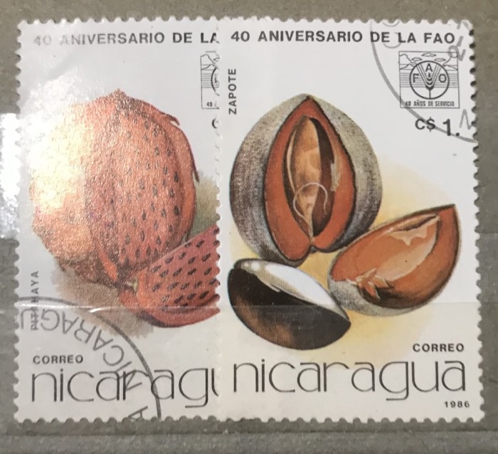 (STR2) Timbre serii Straine Nicaragua