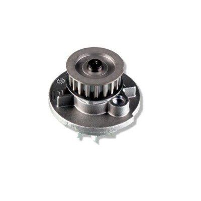 Pompa apa Hepu P346 foto