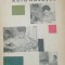 Automasajul - Adrian N. Ionescu / 1966