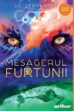 Mesagerul furtunii - Grupul Art