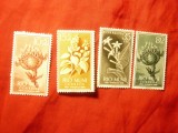 Serie Rio Muni colonie spaniola 1960 - Flora , 4 valori, Nestampilat