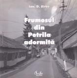 Ion D. Sirbu - Frumosul din Petrila adormita. Album cu fotografii realizate de