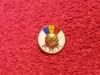 Insigna fotbal - Federatia de Fotbal din ROMANIA (FRF)