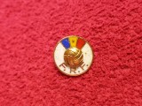 Insigna fotbal - Federatia de Fotbal din ROMANIA (FRF)