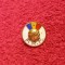 Insigna fotbal - Federatia de Fotbal din ROMANIA (FRF)