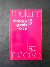 DARIE NOVACEANU - FEDERICO GARCIA LORCA (colectia multum in parvo) foto