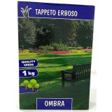 Seminte Gazon Umbra Prima Sementi 1kg, Peluza Rezistenta la Umbra, 30mp