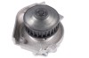 HEPU P1064 Pompă de apă, răcire motor