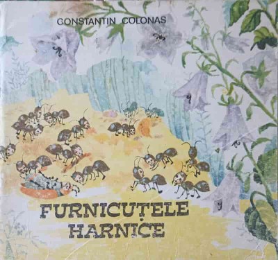 FURNICUTELE HARNICE-CONSTANTIN COLONAS-240131 foto