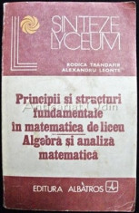 Principii Si Structuri Fundamentale In Matematica De Liceu - Rodica Trandafir foto