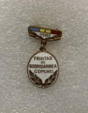 Insigna fruntaș &icirc;n gospodărirea comunei 1982