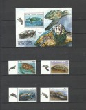 ANGOLA 2018 FAUNA MARINA TESTOASE