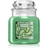 Country Candle Spiral Aloe lum&acirc;nare parfumată 453 g
