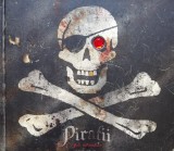 Cumpara ieftin Piratii - John Matthews, Rao, Coperta Cartonata, Carte Istorie, 2007, Romana, 31x27cm