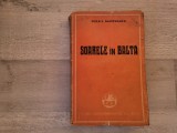 Soarele in balta de Mihail Sadoveanu