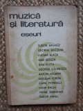 MUZICA SI LITERATURA ROMANA - ESEURI