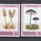 Grenada Grenadines - CIUPERCI - Serie incompleta - MNH