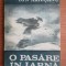 Ion Ariesanu - O pasare in iarna