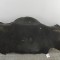 Scut motor central spate VW PASSAT B8 3G2 2015 OEM: 3G0825523B 28111339