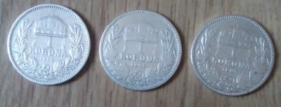 Lot 3 monede argint 1 korona Austro-Ungaria 1893, 1894 și 1895 foto