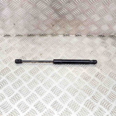 Amortizor capota st&amp;acirc;nga față JAGUAR E-PACE X540 2019 OEM: J9C3-16C826-AB 14372079 foto