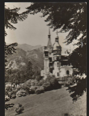 CPI B13647 CARTE POSTALA - SINAIA - MUZEUL PELES foto