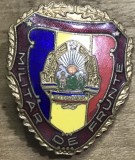 (N) [Militaria RSR] Insigna Militar de Frunte - Stema R.S.R., Emailată