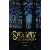 Spiderwick kr&oacute;nika - Fantasztikus gyűjtem&eacute;nyes kiad&aacute;s - Tony DiTerlizzi