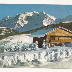 FR2-Carte Postala -FRANTA - Le Mont Blanc, circulata 1983