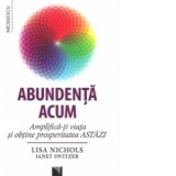 Abundenta acum. Amplifica-ti viata si obtine prosperitatea astazi - Lisa Nichols, Janet Switzer