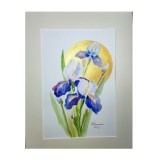 E124. Tablou, Irisi violet pe fond auriu, cu cadru de Passpartout, 30x40cm, Flori, Acuarela, Impresionism, RavariuArt