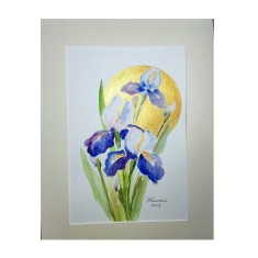 E124. Tablou, Irisi violet pe fond auriu, cu cadru de Passpartout, 30x40cm