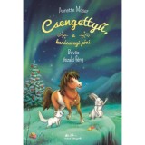 Csengettyű a kar&aacute;csonyi p&oacute;ni 3. - A bűv&ouml;s &eacute;szaki f&eacute;ny - Annette Moser