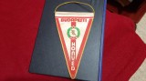 Fanion Honved Budapesta