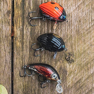 Set 3 Voblere Salmo Chub Pack foto
