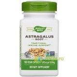 Astragalus Root 100cps Secom,