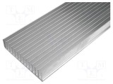 Radiator extrudat cu aripioare STONECOLD L: 1000mm W: 165mm H: 35mm brut