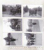 Bnk foto - Ploiesti - lot 22 fotografii 1969 - parcul Halele Centrale, Alb-Negru, Romania de la 1950, Cladiri