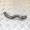 Furtun AUDI A4 8W2, B9 2016 OEM: 8W0819332H | 4143552