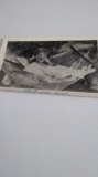 FOTO TIP 9/6CM TOROCSIK MARI